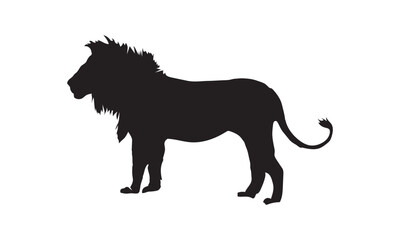 Lion Vector