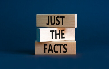 Naklejka premium Just the facts symbol. Concept words Just the facts on wooden blocks on a beautiful grey table grey background. Business and just the facts concept. Copy space.