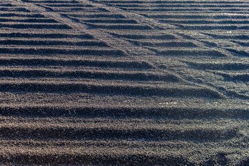 coffee drying yard, with several species of coffee beans, on a farm in the state of São Paulo, Brazil