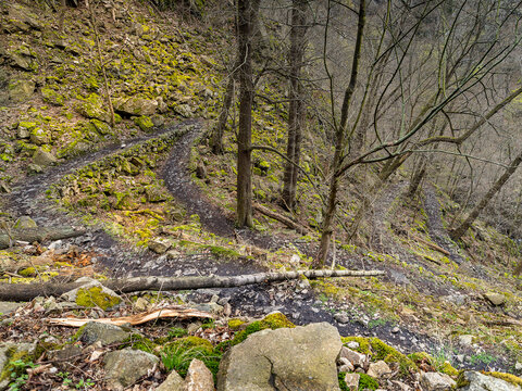 Serpentinen Hoch zum Hexenplatz im Harz