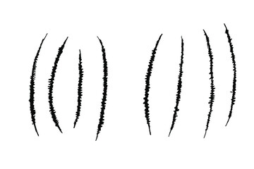 Claw scratches animals. Claw scratch collection. Black animals claw set. Grunge scratches claws. Wild animals concept. Vector illustration on white background.