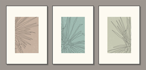 Set of minimalist botanical palm leaves abstract collage posters