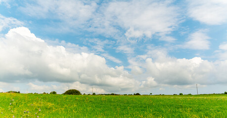Green field under a cloudy sky in Sardinia