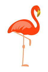 Flamingo bird orange pink color hand drawn isolate on white background