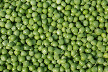 Fototapeta na wymiar Fresh garden green peas background