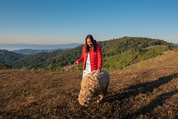 Happy Asian woman feeding sheep.