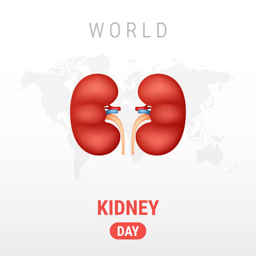World Kidney day on white background