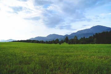 Fototapeta premium Meadows near the Alps against the backdrop of unusually beautiful clouds