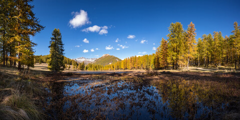 Lac de Roue lake in Queyras Regional Nature Park in Autumn (panoramic). Arvieux in the Hautes-Alpes...