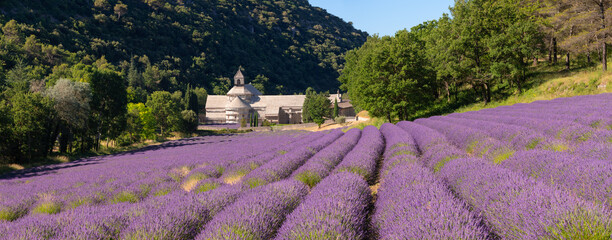 Senanque Abbey in Provence with lavender fields in Summer. Vaucluse, Provence-Alpes-Cote-d'Azur region of France - obrazy, fototapety, plakaty