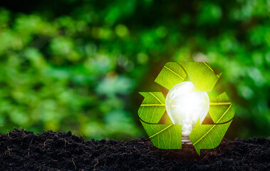 Futuristic sustainable development concept with light bulbs and recycling labels in garden green...