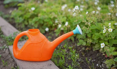  orange watering can in the green garden © Albert Ziganshin