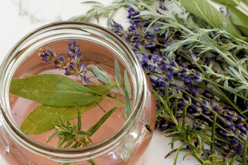 Herbs infused vinegar in open jar. Thieves vinegar, alternative medicine remedy with wormwood,...