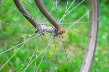 wheel of an old bicycle close-up against green grass, dirty and rusty hub and spokes of a vintage...