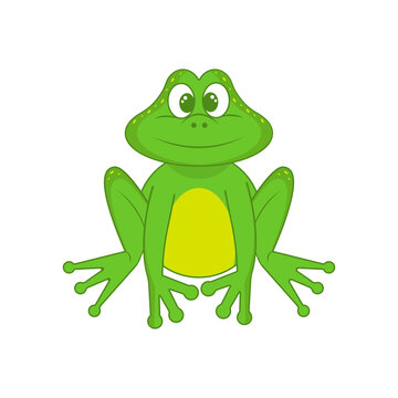 Little funny frog is sitting. Isolated on white background. In cartoon style. Vector illustration