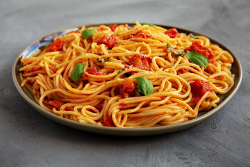 Homemade Spaghetti Pasta with Fresh Tomato Sauce on a Plate on a gray background, side view. Close-up.