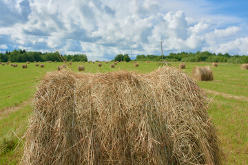 A stack of hay on a sunny day overlooking other dry hay bales. Cut and collected grass in the countryside.