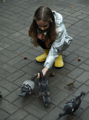 pigeon, fall, falling leaves, puddle, raining, animals, autumn, autumn background, autumn leaves,...
