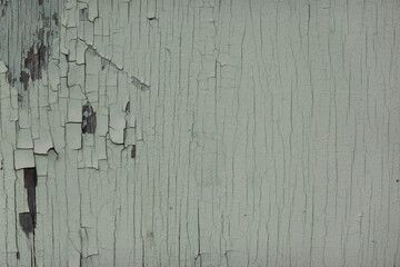 Old white scratched weathered white painted wood wall texture background. Old solid wood peeled...