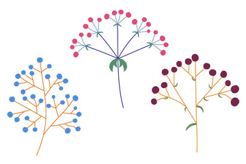 Vector set of flower inflorescences of plants on the stem. Flat style.