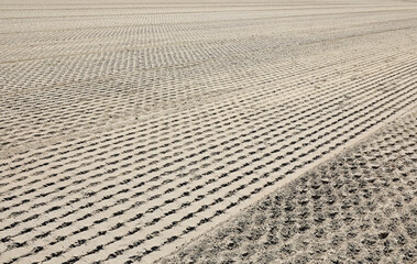 burned field without seedlings without sprouts due to the terrible drought that hit the plains and crops in the summer