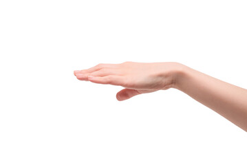 Woman hand isolated on a white background.