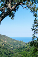 Scenic view of Mountains, The Mediterranean Sea and dense Forests from Skikda, Algeria