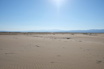 desert sand on a beach