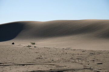 Fototapeta na wymiar desert sand on a beach