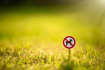 The dog walking sign is prohibited to a round red frame on green grass. It is forbidden to let dogs...