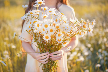 Sunny young girl holding bouquet de camomille sur le terrain