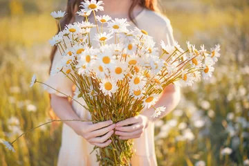  Sunny young girl holding bunch of chamomile on the field © Albert Ziganshin