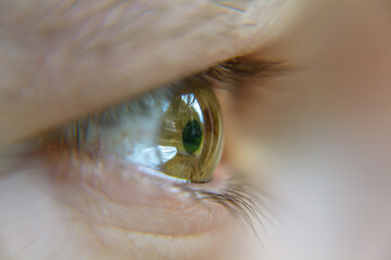 Oko ludzkie - zielona tęczówka - obrazy, fototapety, plakaty
