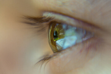 Oko ludzkie - zielona tęczówka