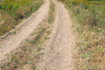 Fototapeta na wymiar Dirt road in the countryside among fields with grass.