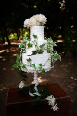 Wedding Cake in Woodland