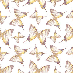 Watercolor vector illustration of seamless pattern with butterflies