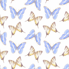 Watercolor vector illustration of seamless pattern with butterflies