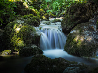 Cascade en coeur de for&ecirc;t