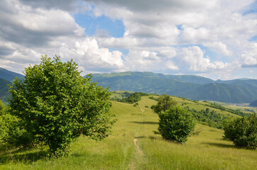 Fototapeta na wymiar Footpath through grassy green hills and slopes of Carpathian Mountains during summer day. The hilly landscape is perfect for hiking.