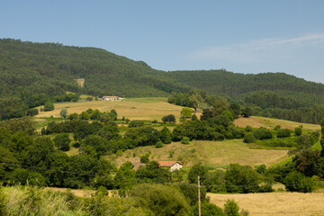 Fototapeta na wymiar hill of the bush planted with grass for cattle with houses in baquio Spain