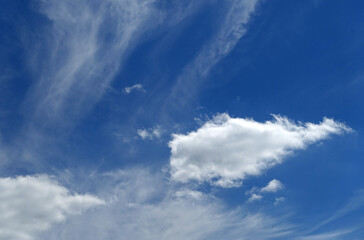 Fototapeta premium Clouds in the blue sky for use as a background or texture
