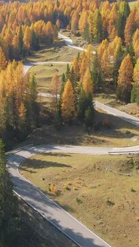 AERIAL: Flying above a winding mountain road in the Dolomites leading a lonely motorbike rider through the vibrantly colored forest. Motorcyclist cruises along mountain pass road in the Italian Alps.