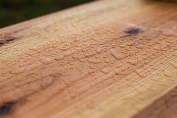Drewno odporne na warunki atmosferyczne © Marcin Slodczyk