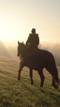 Golden late autumn sunbeams peer through the fog for female horseback rider to explore the idyllic countryside. Woman rides a beautiful dark brown horse across a frosty meadow on foggy winter morning.