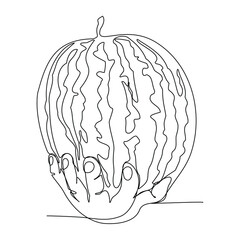 Watermelon in a man's hand Continuous line drawing on a white isolated vector fashion illustration