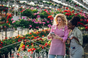 Multiracial female florists working in a green house plant nursery and using tablet