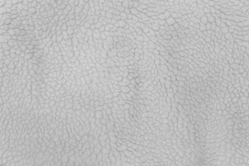 White sheep material wool fur soft structure fleece fabric background texture warm natural light nature skin