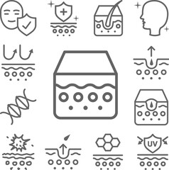 Epidermis, skin icon in a collection with other items