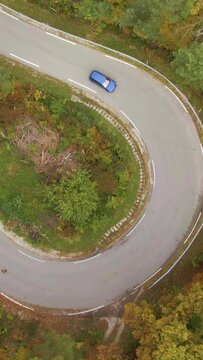 AERIAL, TOP DOWN: Metallic blue car drives into a sharp hairpin turn of a scenic switchback road crossing a fall colored forest. Drone shot of a car exploring the woods changing colors in autumn.